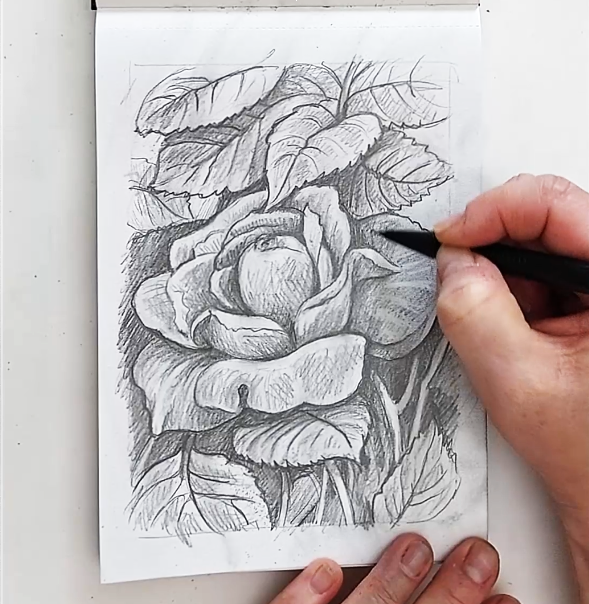 How to Draw a Rose Video – SoloWorkStudio