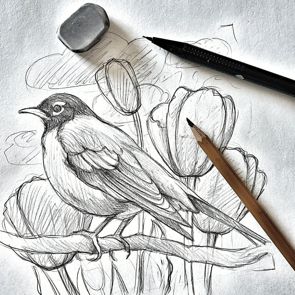 Bird Pencil Shading