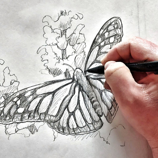 Sketches in progress