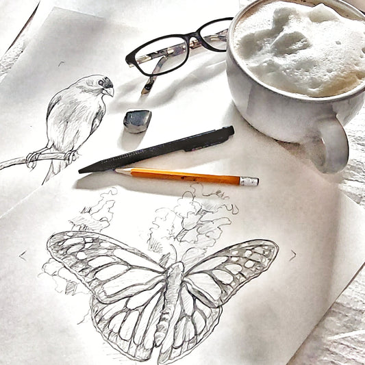 Drawing fun