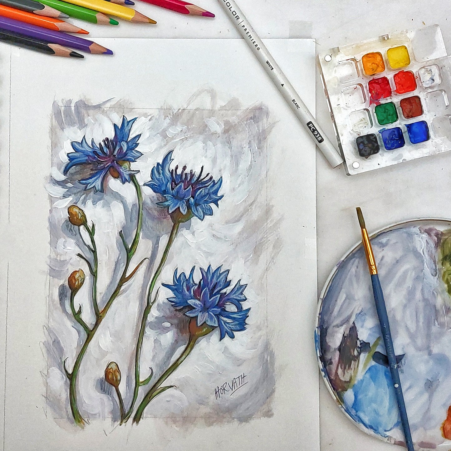 Cornflower - Original Painting on Paper