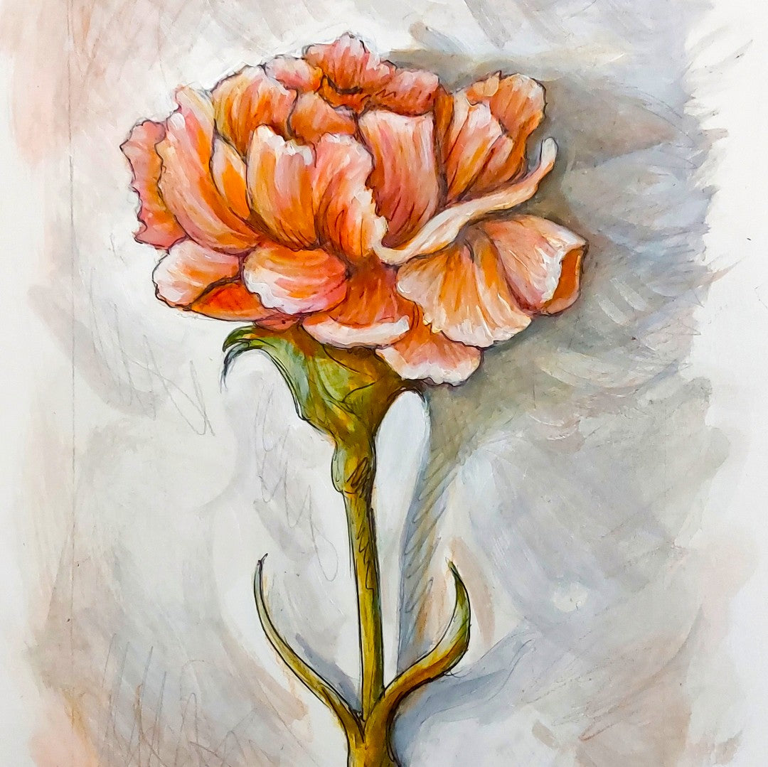 Carnation - Original Painting on Paper