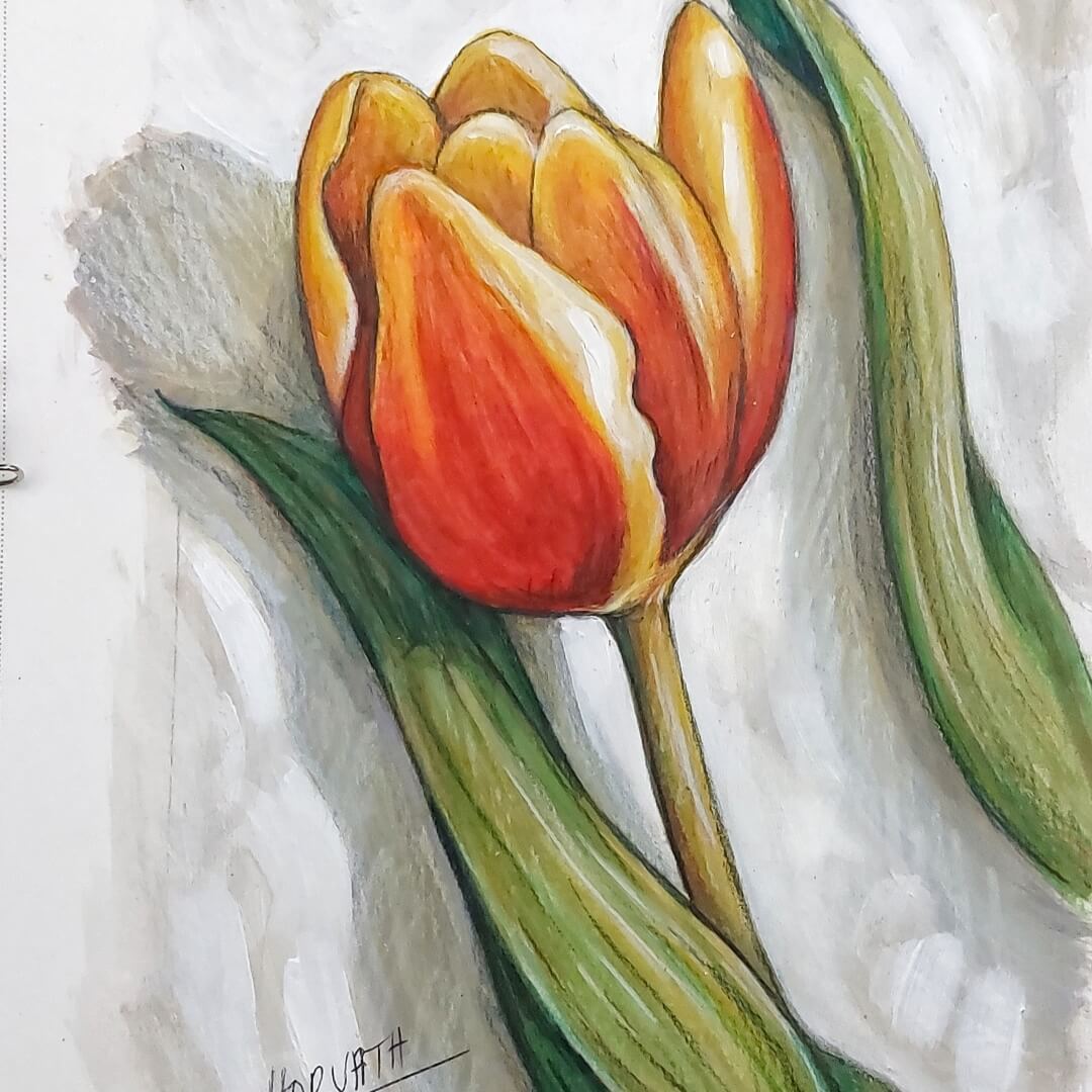 Red Yellow Tulip - Original Painting on Paper