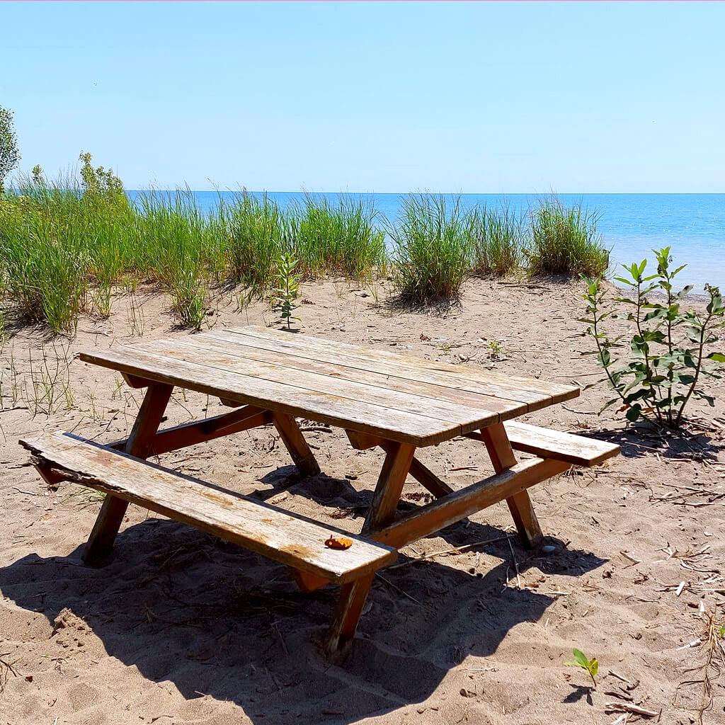 Erie Rest Picnic Table, Plein Air Original Painting 8x10