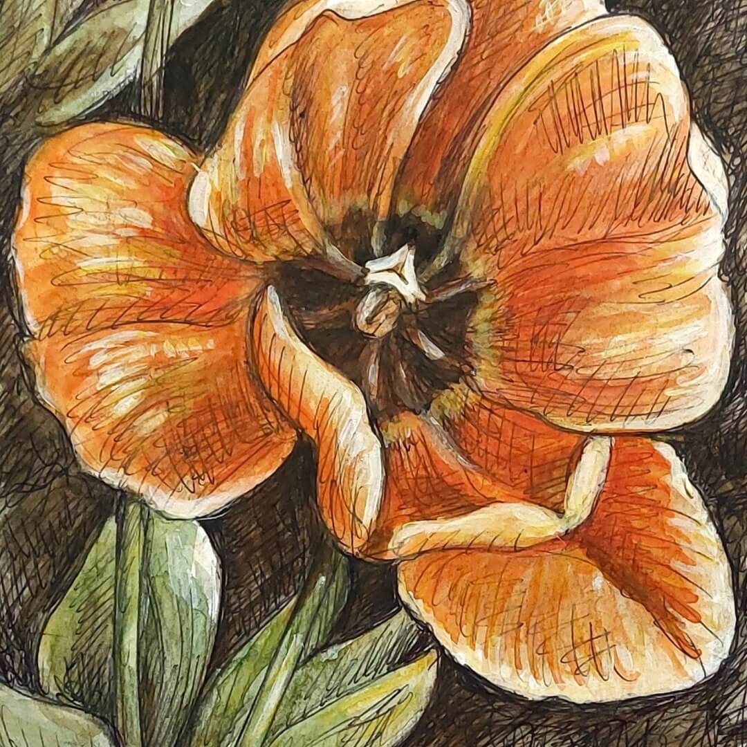 DAY 13 - Orange Tulip- Original Daily Draw to Paint