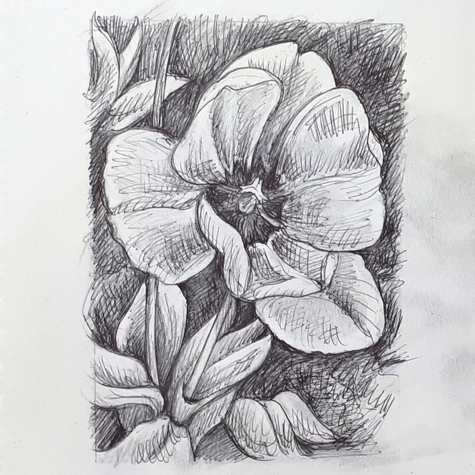 DAY 13 - Orange Tulip- Original Daily Draw to Paint