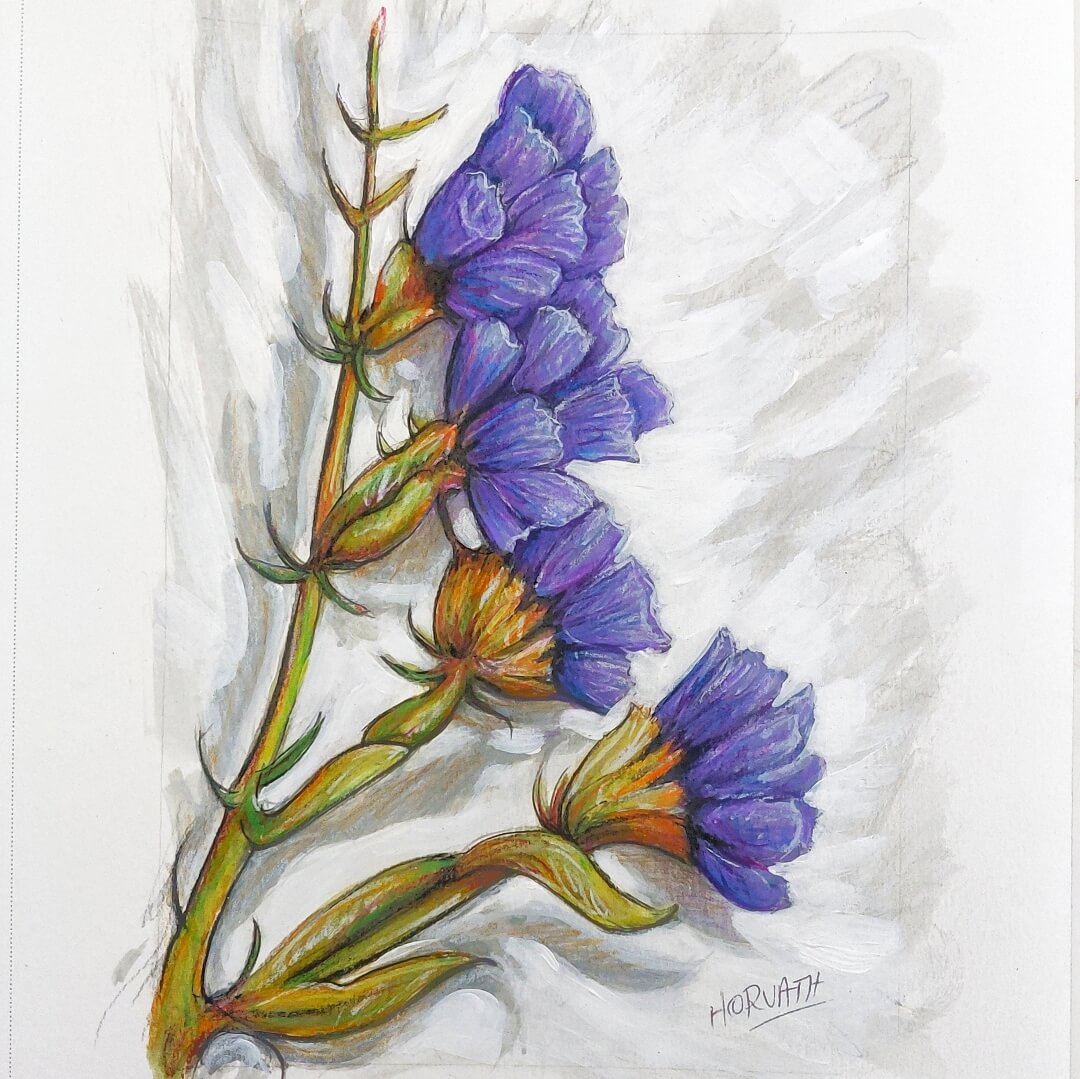 Purple Blooms - Original Painting on Paper
