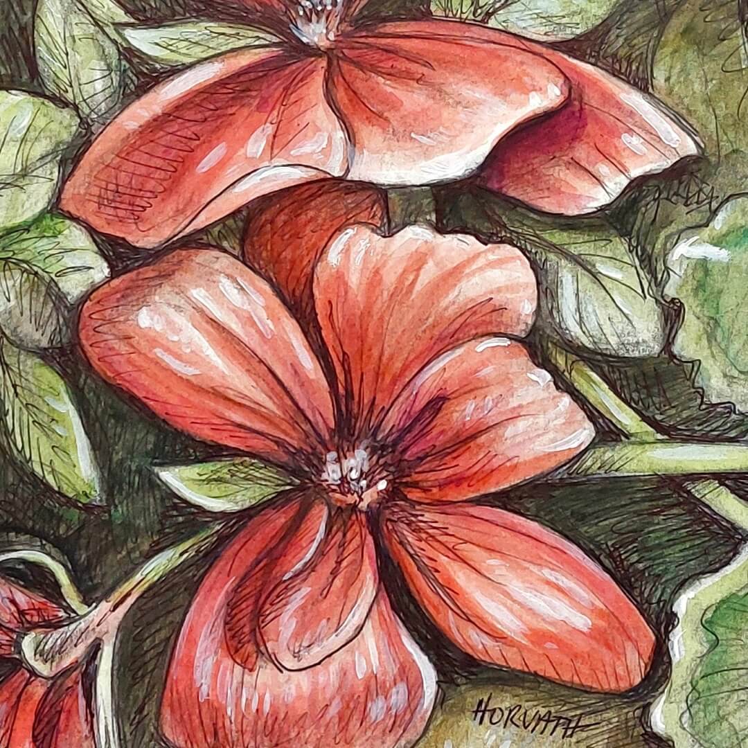 DAY 12 - Red Geranium- Original Daily Draw to Paint