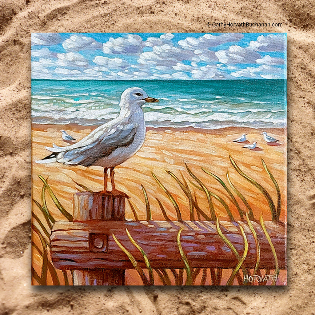 Main Beach Seagull, Horizons Original Painting 12x12