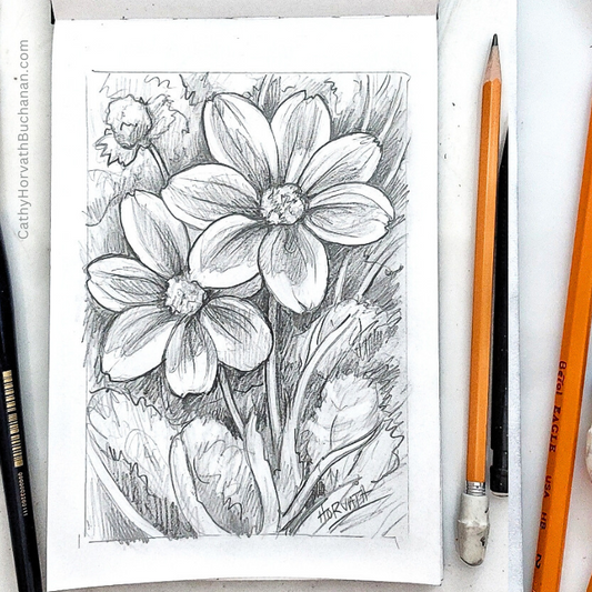 Dahlias Flower Drawing Video