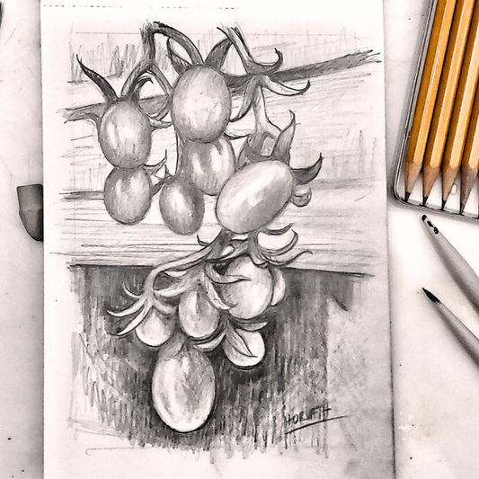 Tomato Drawing Video