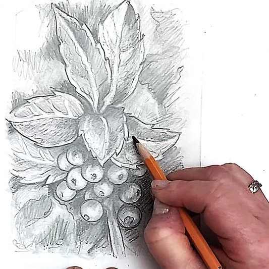 Holly Sketching Video Tutorial