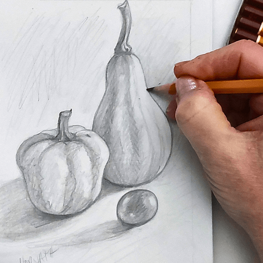 Still Life Drawing Video