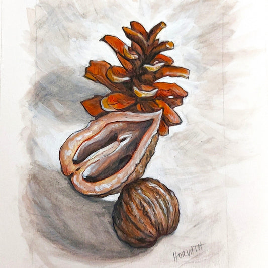 Pinecone Walnuts - Original Painting on Paper