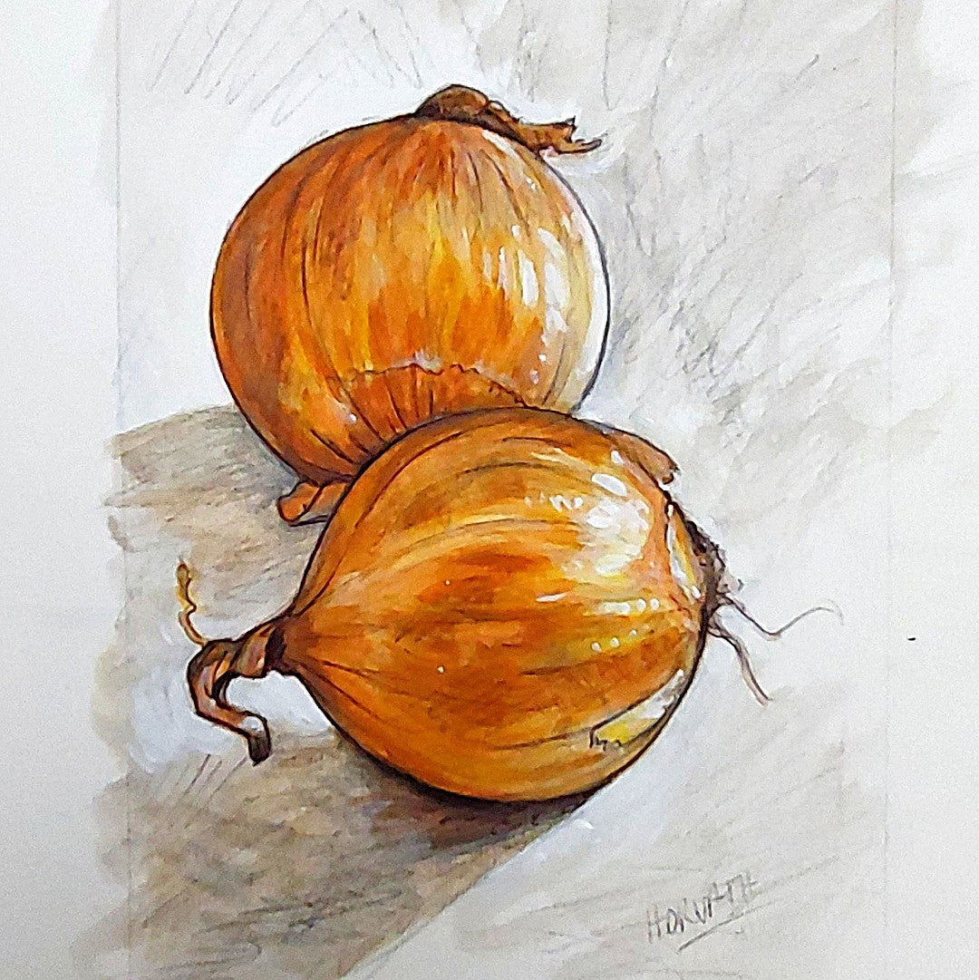 Onions - Original Painting on Paper