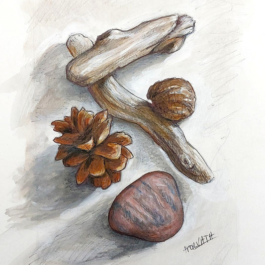 Natural Objects - Original Painting on Paper