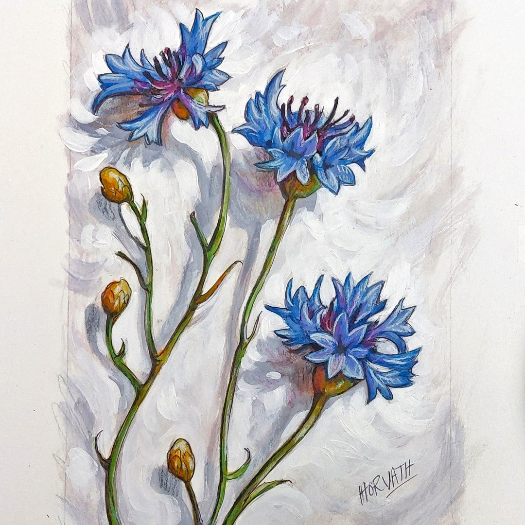 Cornflower - Original Painting on Paper