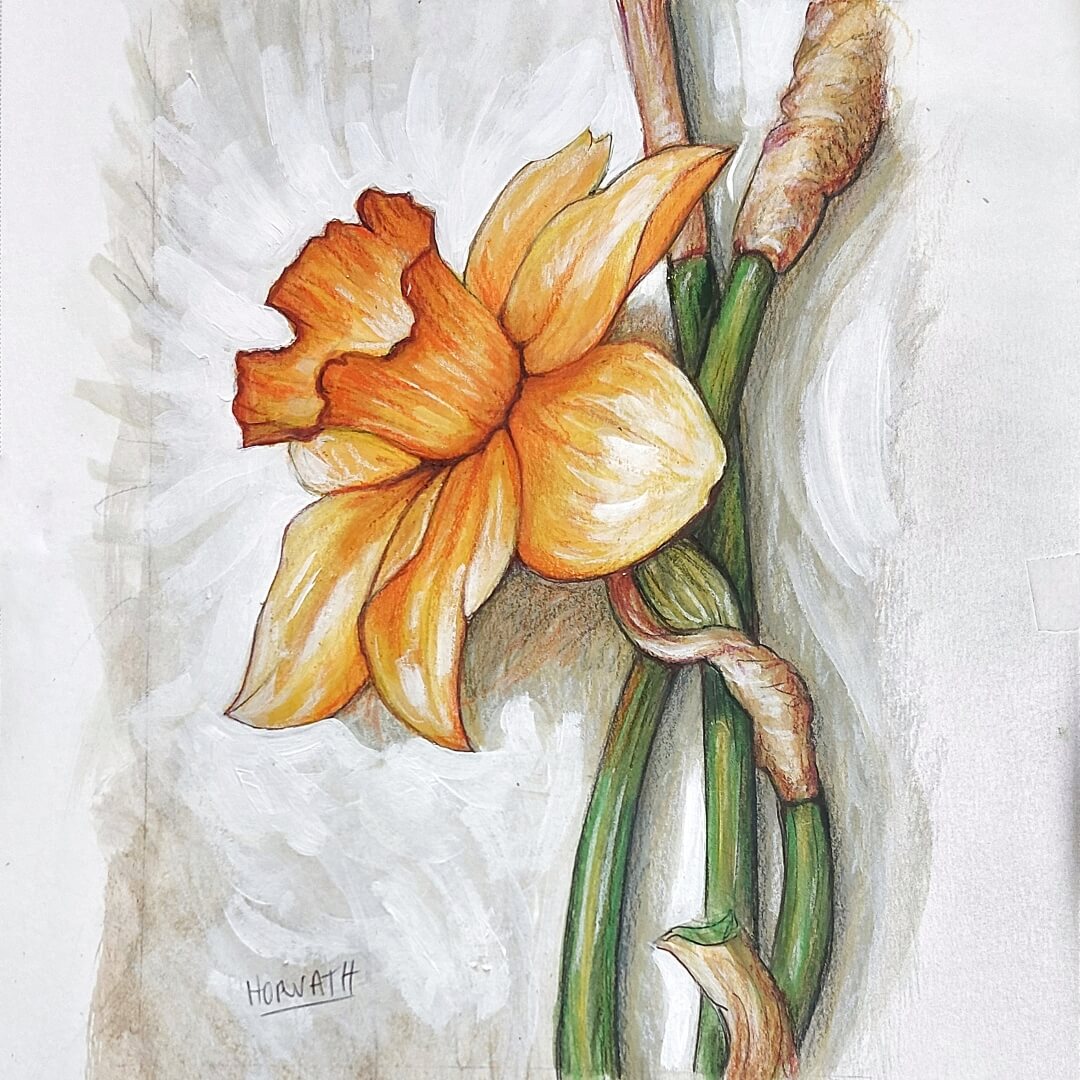 Daffodil - Original Painting on Paper