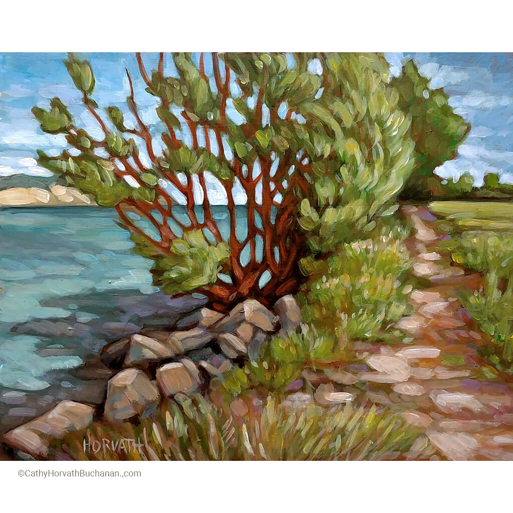 Berm Path Tree - Original Painting by artist cathy horvath buchanan