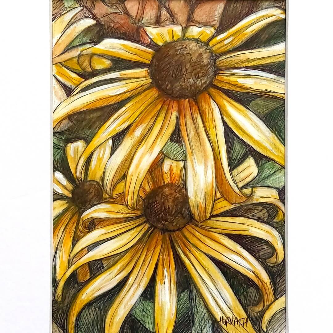 DAY 6 - Black Eyes Susans - Original Daily Draw to Paint