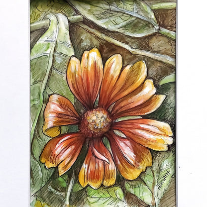 DAY 18 - Blanket Flower - Original Daily Draw to Paint