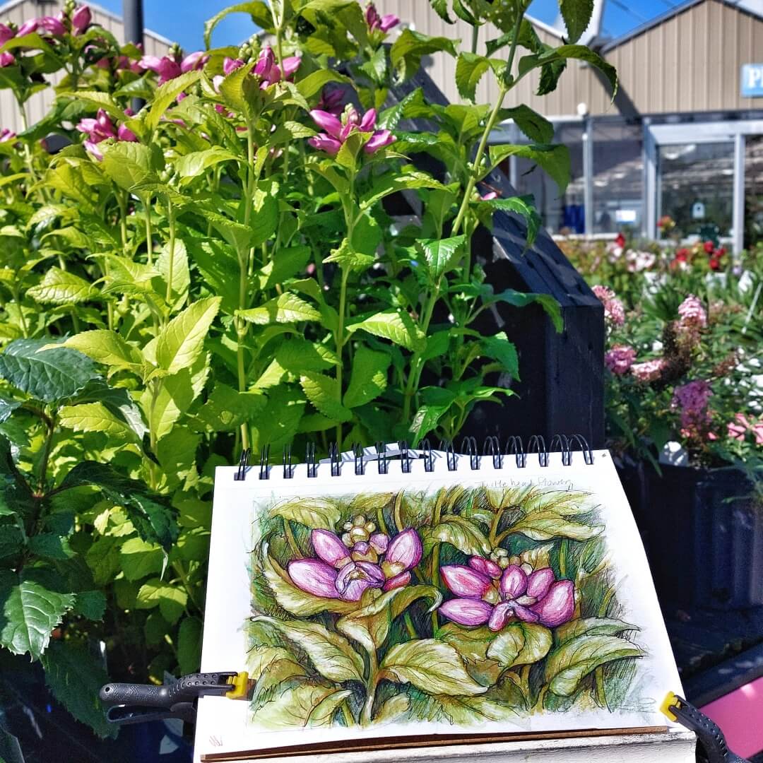 Turtlehead Plant, Plein Air Original Painting