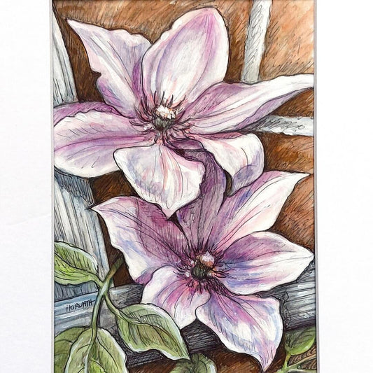 DAY 21 - Clematis - Original Daily Draw to Paint