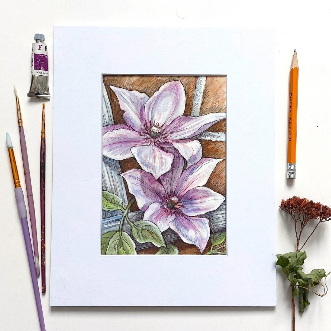 DAY 21 - Clematis - Original Daily Draw to Paint