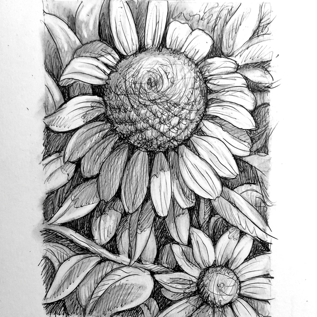 DAY 29 - Coneflowers - Original Daily Draw to Paint