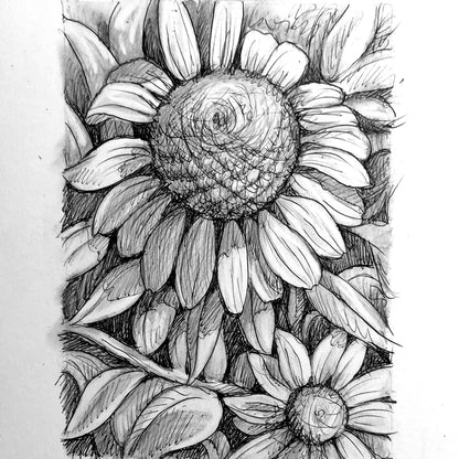 DAY 29 - Coneflowers - Original Daily Draw to Paint