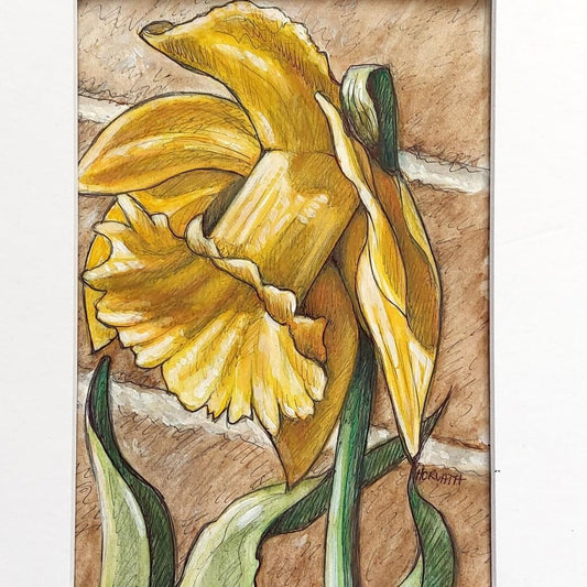 DAY 16 - Daffodil - Original Daily Draw to Paint