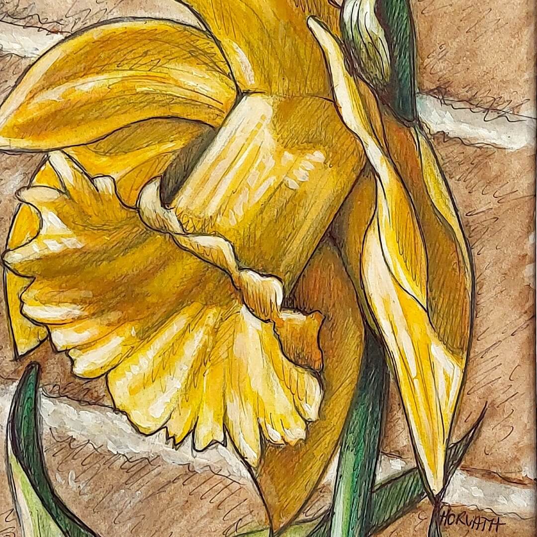 DAY 16 - Daffodil - Original Daily Draw to Paint