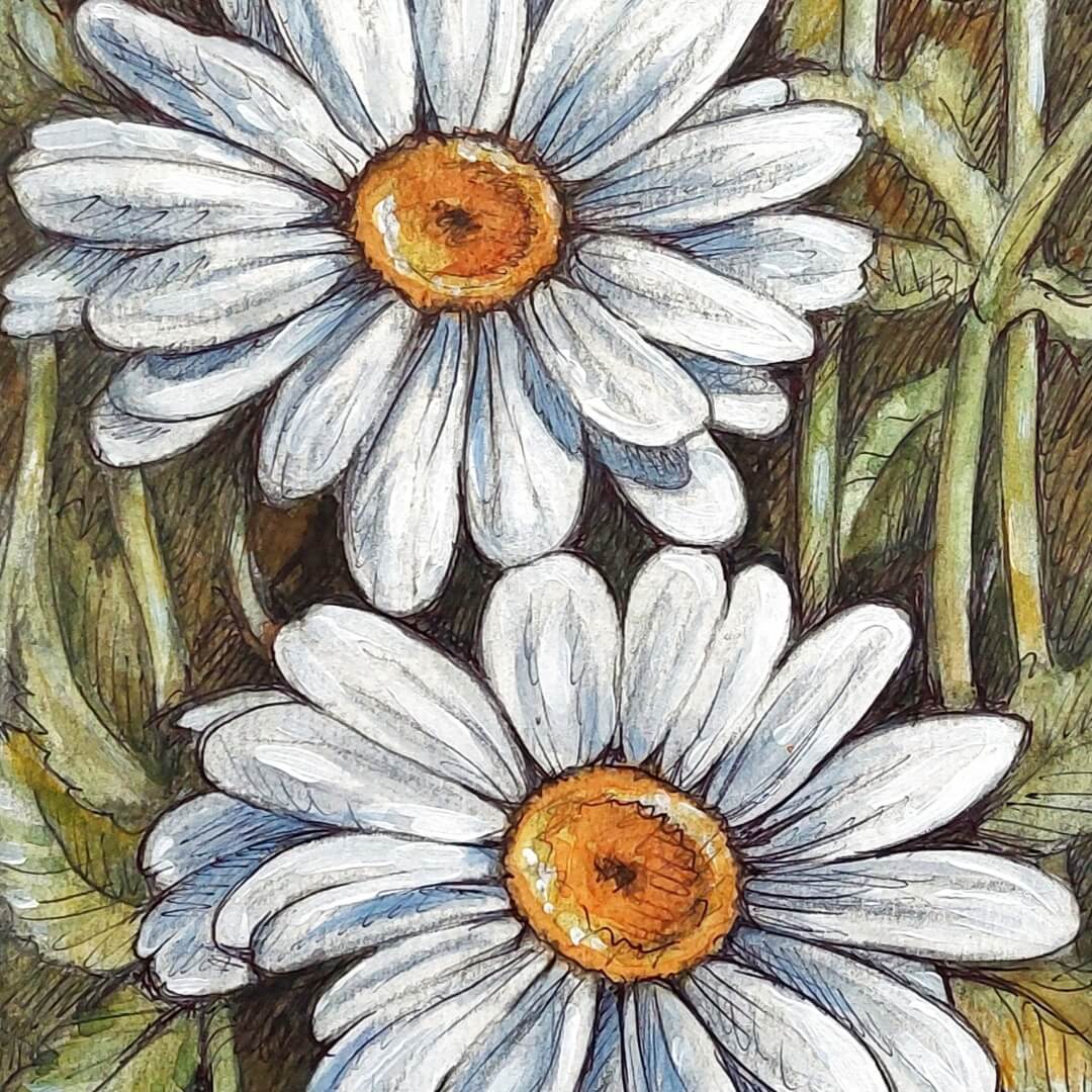 DAY 11 - Daisies- Original Daily Draw to Paint