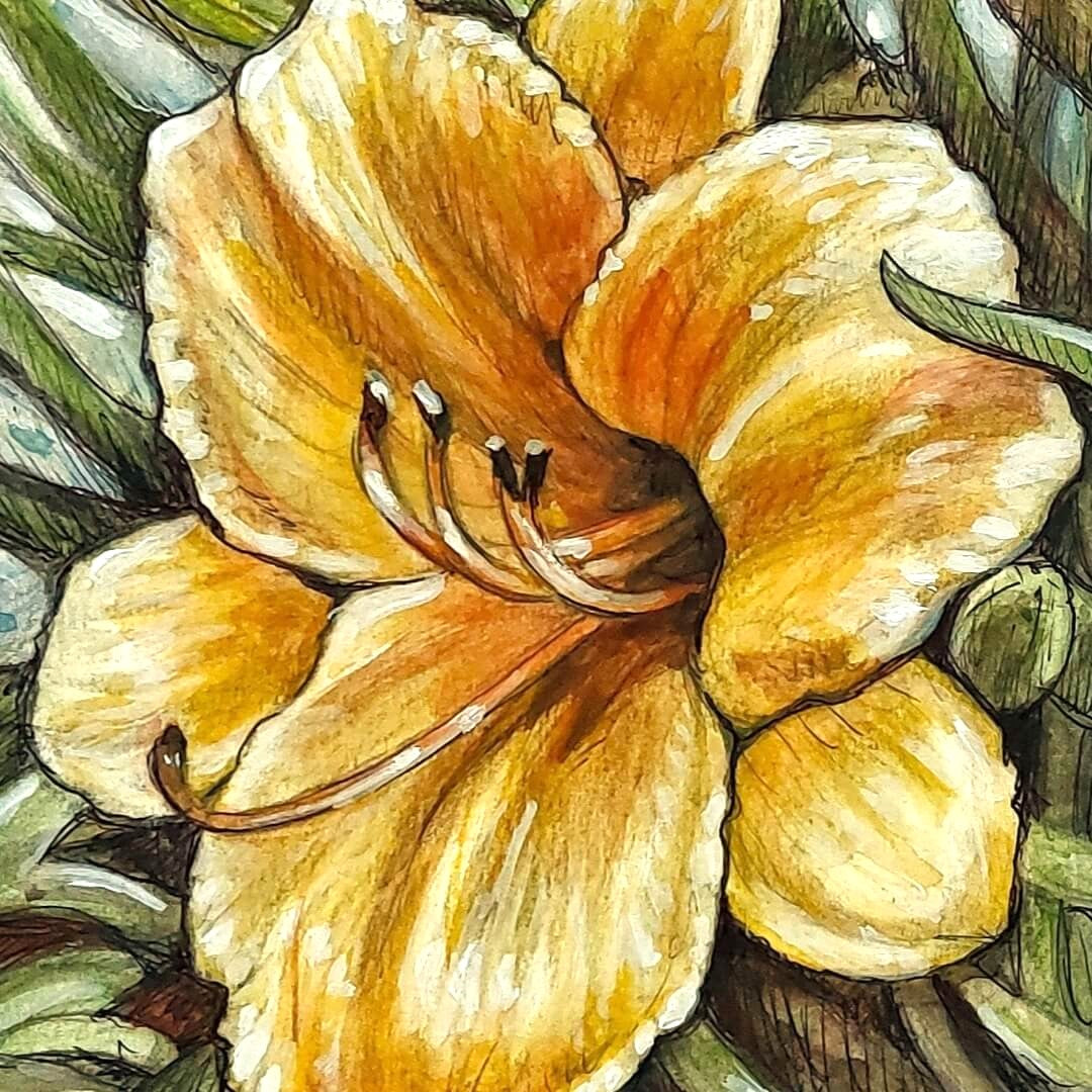 DAY 2 - Yellow Daylily - Original Daily Draw to Paint