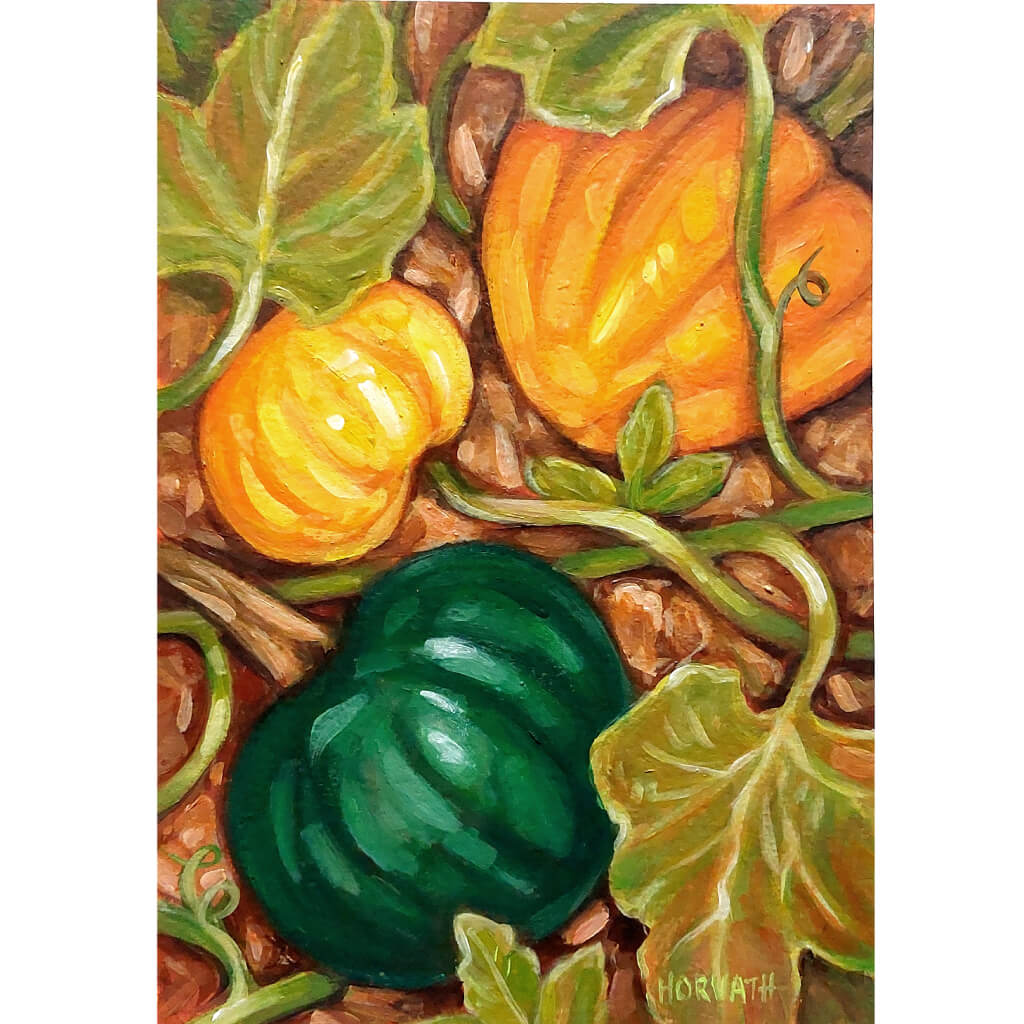 Fall Squash, Original Painting on Paper by artist Cathy Horvath Buchanan