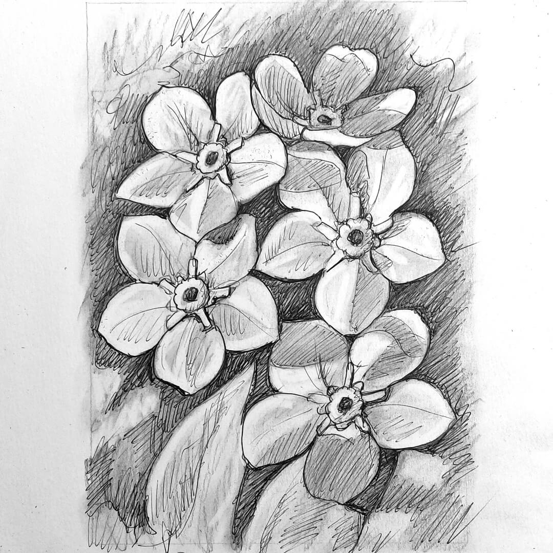 DAY 31 - Forget-Me-Nots - Original Daily Draw to Paint