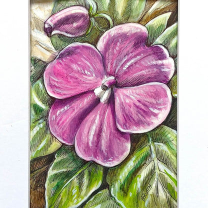 DAY 27 - Impatiens - Original Daily Draw to Paint