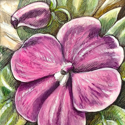 DAY 27 - Impatiens - Original Daily Draw to Paint