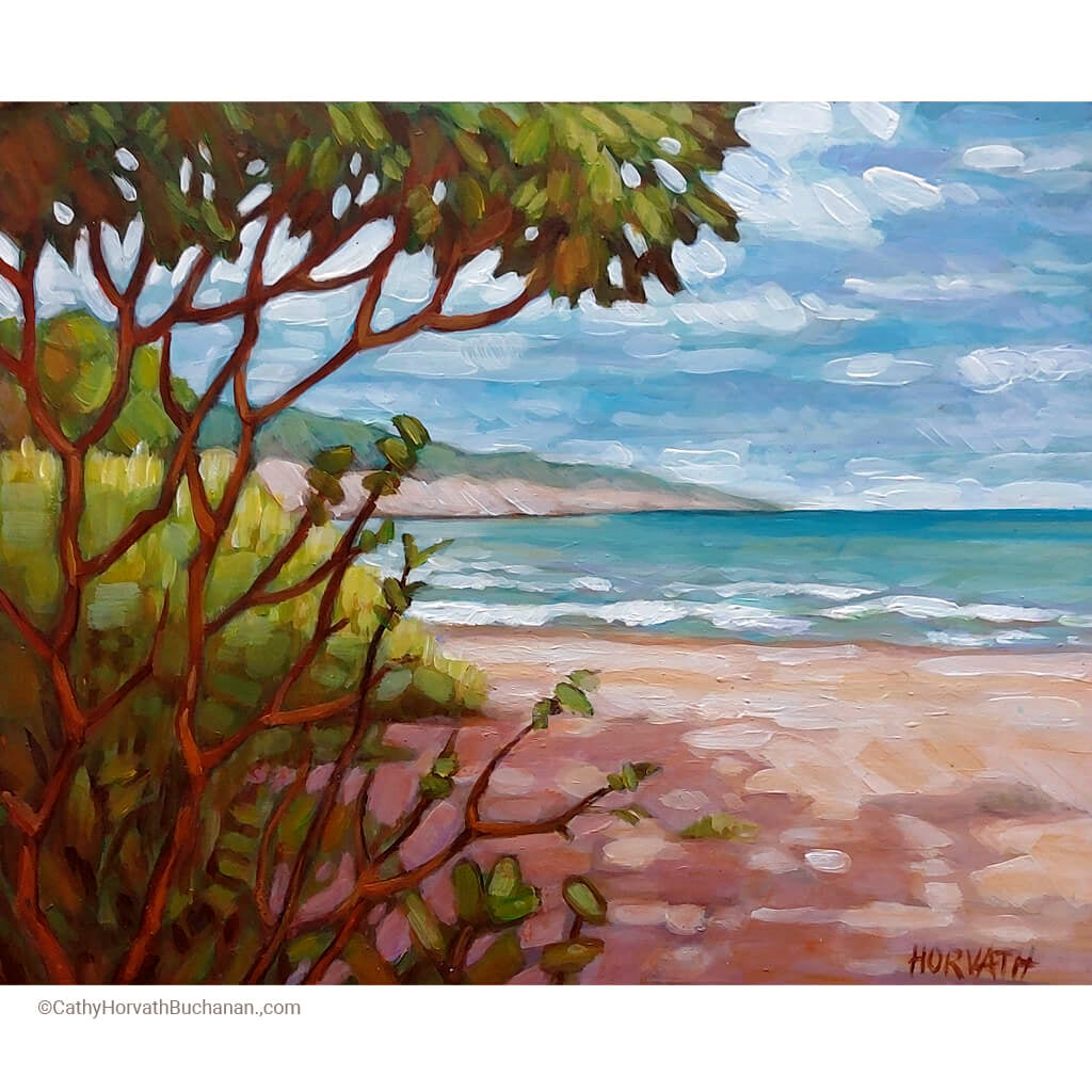 Little Beach Shadows, Plein Air Original Painting 8x10  by artist cathy horvath buchanan