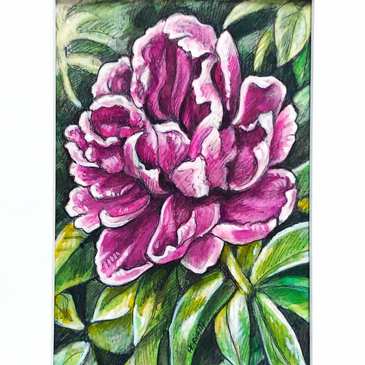 DAY 10 - Peony - Original Daily Draw to Paint