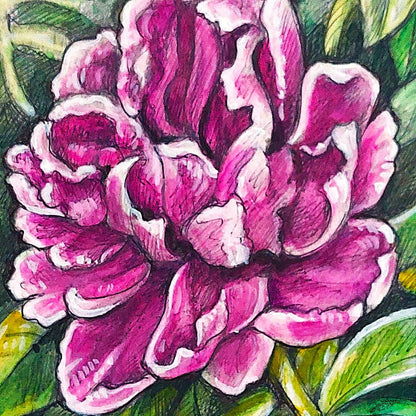 DAY 10 - Peony - Original Daily Draw to Paint