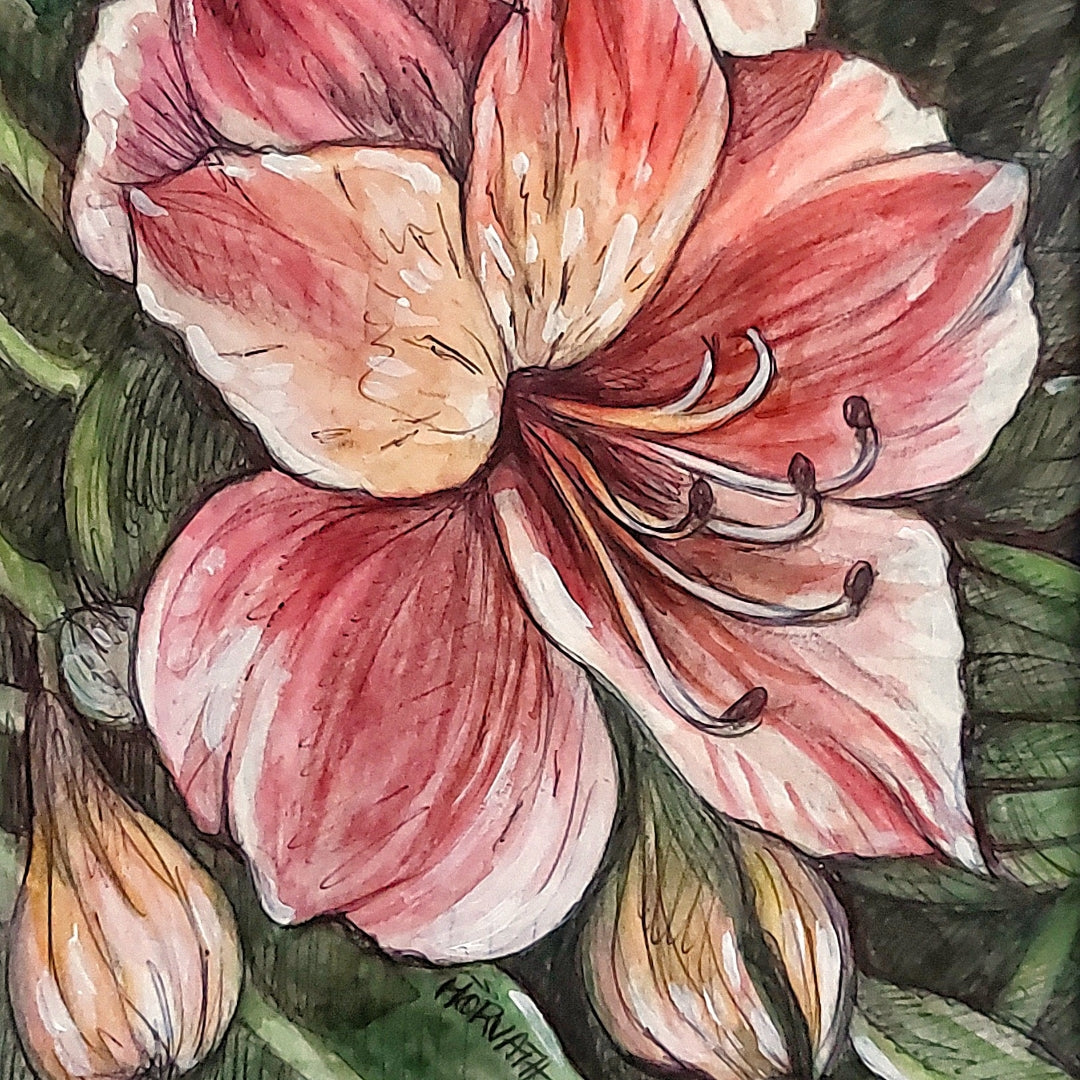 DAY 17 - Pink Lilies - Original Daily Draw to Paint