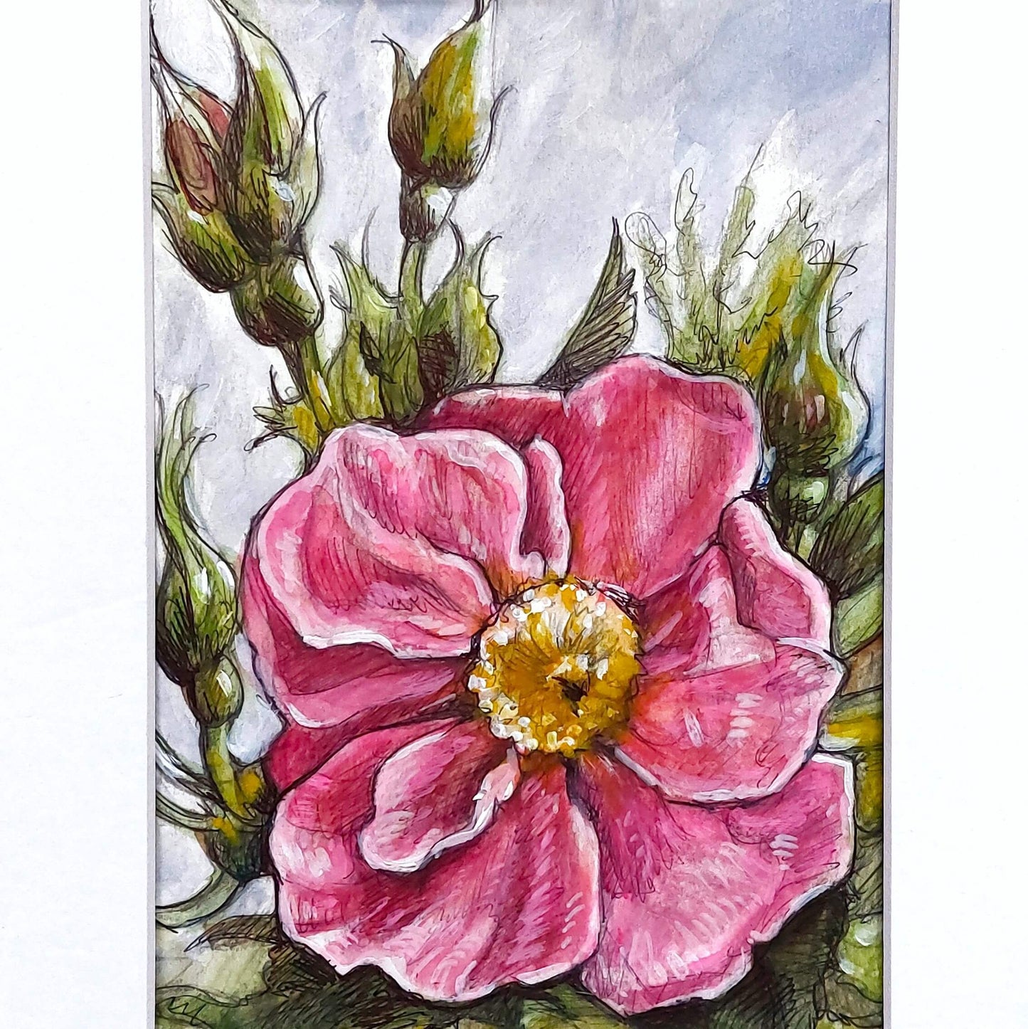 DAY 5 - Pink Rose - Original Daily Draw to Paint