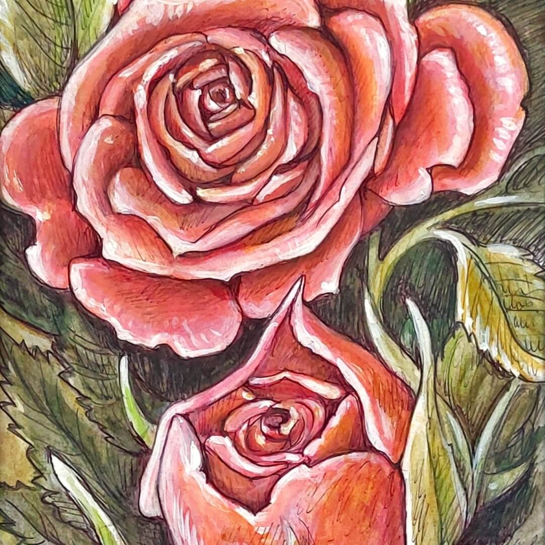 DAY 25 - Pink Roses - Original Daily Draw to Paint