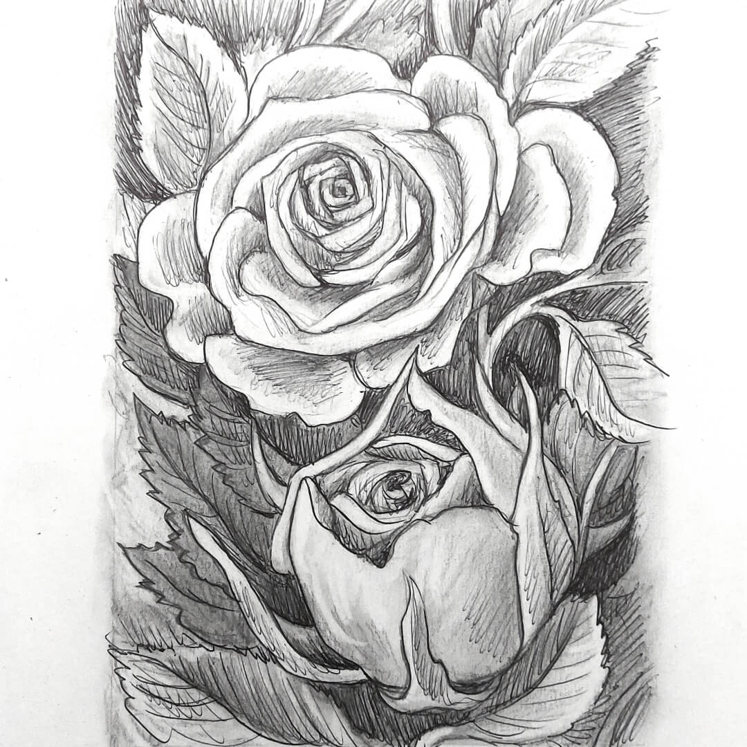 DAY 25 - Pink Roses - Original Daily Draw to Paint