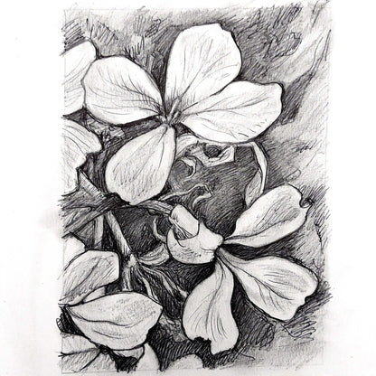 DAY 4 - Purple Petals - Original Daily Draw to Paint