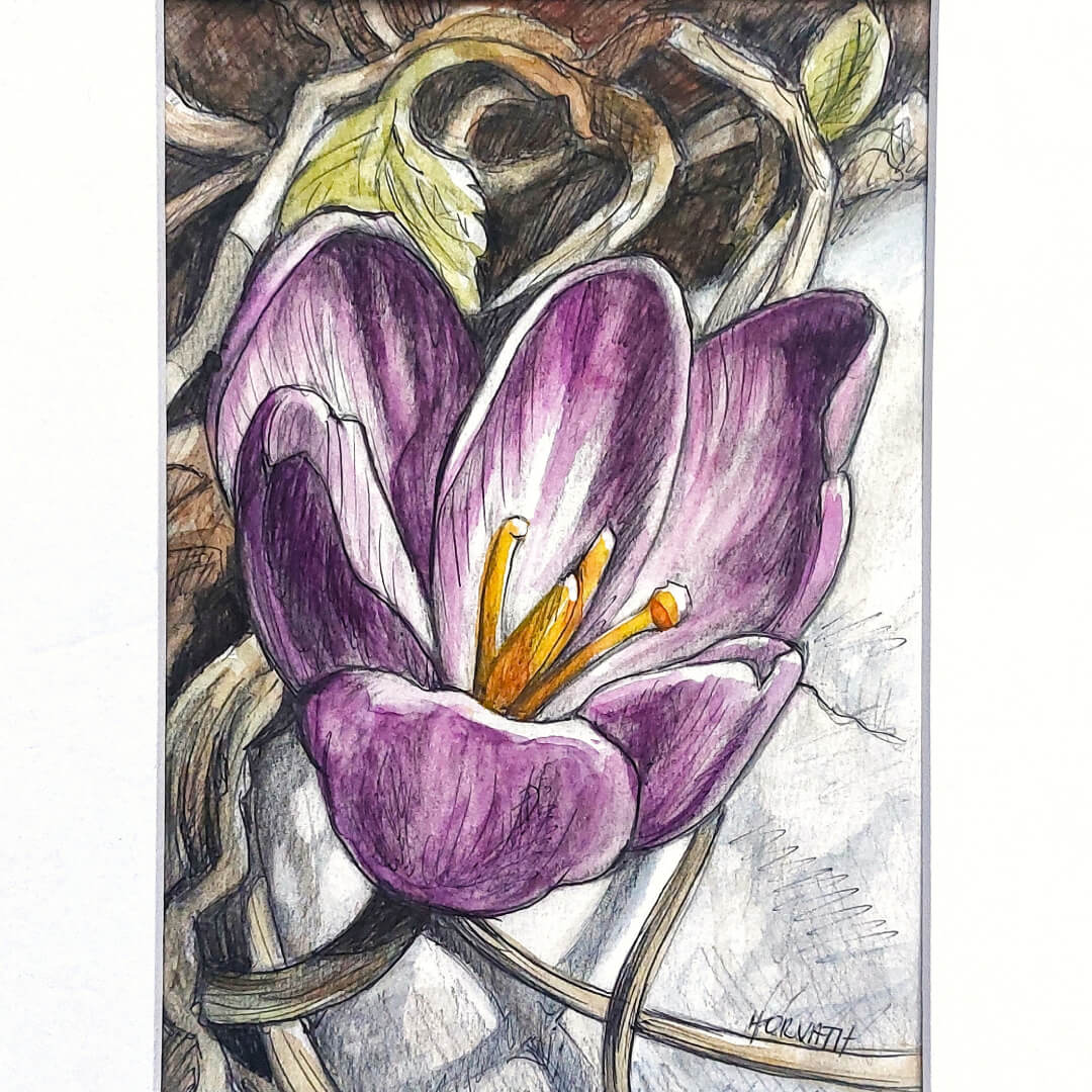 DAY 8 - Purple Crocus - Original Daily Draw to Paint