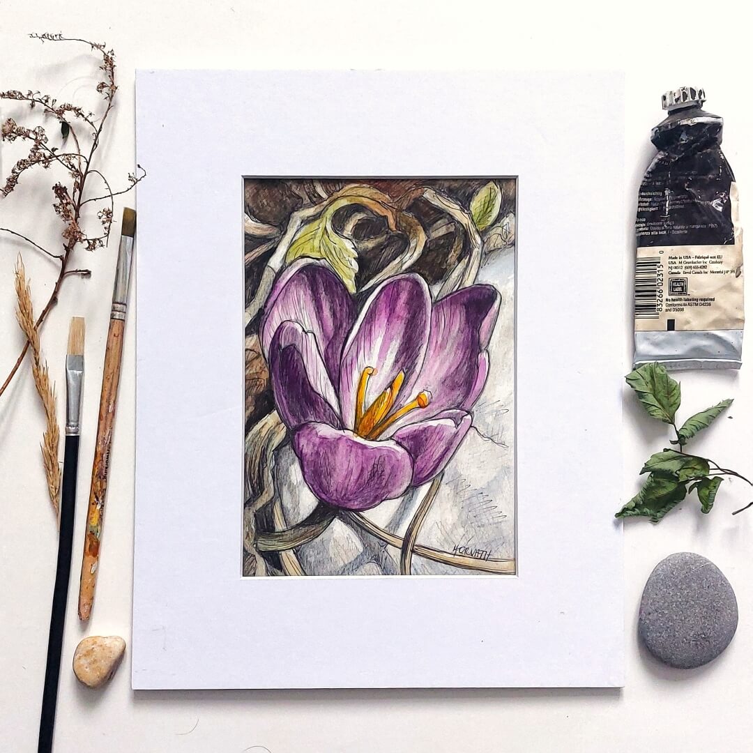 DAY 8 - Purple Crocus - Original Daily Draw to Paint