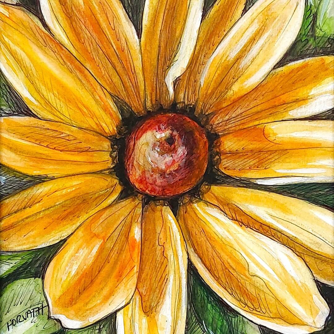 DAY 26 - Rudbeckia - Original Daily Draw to Paint