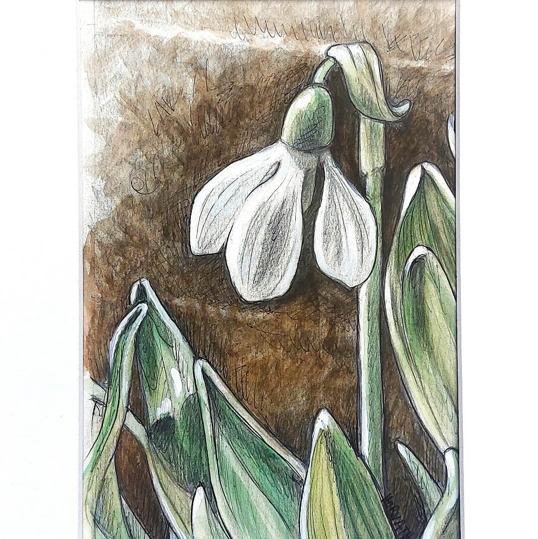 DAY 7 - Snowdrops - Original Daily Draw to Paint